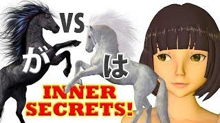 WA and GA: the Deeper Secrets! The yin-yang structure of Japanese | Lesson 61