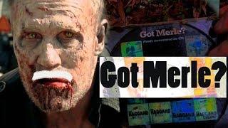 Got Merle?