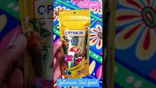 Optimum 3in1 fish food #shorts #trending #fish