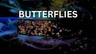 Butterflies | Digital Technology Artworks