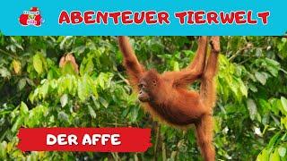 Abenteuer Tierwelt |  der Affe | Tiere lernen für Kinder und Kleinkinder