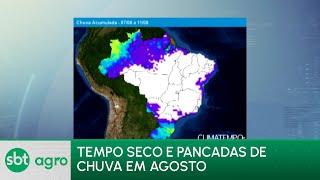 SBT Agro 05/08/2024: Tempo seco e chuva isolada devem ser predominantes em agosto