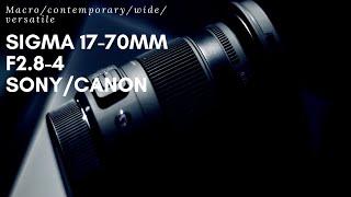 SIGMA 17-70mm f2.8-4 for Sony a6300 l TEST