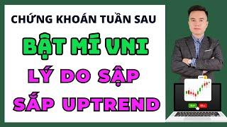 Chứng Khoán Hôm Nay | Nhận Định THị Trường | Bật mí lý do thị trường sắp uptrend