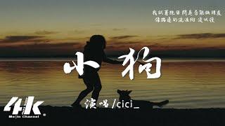 cici_ - 小狗『你把我丟下又囑託我好好生活，淚落在了我們的相冊裡嚐到苦澀。』【高音質|動態歌詞Lyrics】