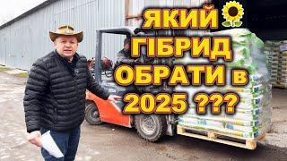 ЯК ФЕРМЕР ВИБИРАВ СОНЯШНИК ПО РЕЗУЛЬТАТУ ВРОЖАЙНОСТІ ? що замовив  Родос нсх 8005 Альдазор Таурус