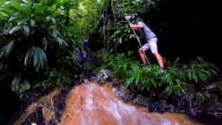 TOBAGO RAINFOREST ADVENTURE