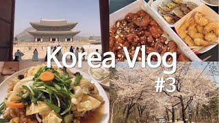 [Korea Travel Vlog #3] Walking around Gyeongbokgung Palace in hanbok.First day of Sokcho trip