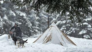 -20° Caught in a Storm ️ / Winter Camping in a Snowstorm with my Dogs / Bad Weather