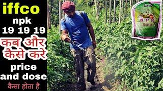 iffco npk 19 19 19 | npk kitna dalna h or kab dalna h | Praveen Thakur | water soluble fertilizer