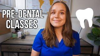Classes I Took In Undergrad That Got Me Into Dental School! | Pre-Dental Bio Major