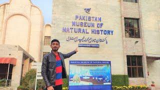 Pakistan Museum of Natural History in Islamabad | Islamabad Museum | Livelog