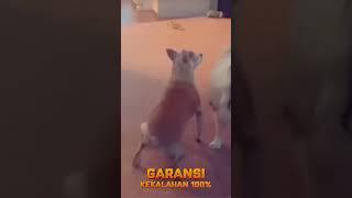 Past 32 | joget core