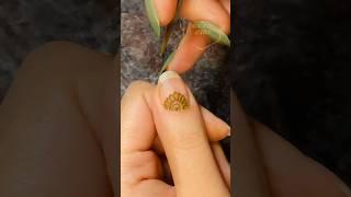 Nail Mehandi Tricks | Nail henna | Nail cone #nail #nailart #nailcones #mehndi #tricks #new #shorts