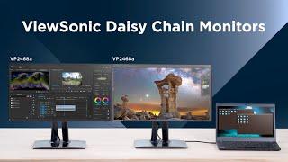 ColoPro® Tutorials - How to Use Daisy Chain Monitors