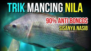 RAHASIA Umpan Mancing Ikan Nila Liar Susah Makan Paling Jitu Dan Ampuh