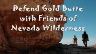 Gold Butte - Petroglyphs and Desert Tortoises