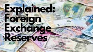 Foreign Exchange Reserves