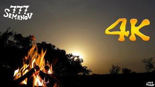 Relaxing campfire atmosphere | Cricket sounds | Nature sounds | Sounds for sleep | Fire sounds | 火