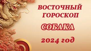 Восточный гороскоп для рожденных в год Собаки на 2024 год