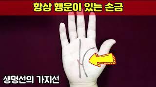 항상 행운이 있는 손금 -생명선의 다양한 가지선-