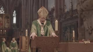 Predigt von Erzbischof Stephan Burger zum Caritas-Sonntag 2018