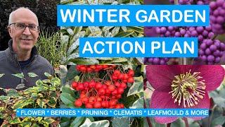 WINTER GARDEN ACTION PLAN – FLOWERS, BERRIES, PRUNING, LEAFMOULD, CLEMATIS & JOBS THROUGH WINTER