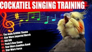 Cockatiel Singing Training-Cockatiel Sounds Parrot Training