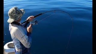 Bottom bashing Whitsundays, fishing the easy way. Bending rods, screaming reels, glass out day.