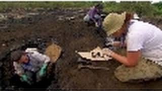 The Tar Pit | National Geographic