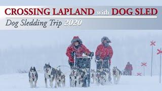 DOG SLEDDING TRIP 2020 | CROSSING LAPLAND with DOG SLED Sweden