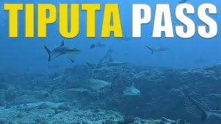 Scuba Diving Tiputa Pass In Rangiroa With 100 Of SHARKS! 