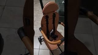Reviewing This Evolur Cruise Rider Stroller
