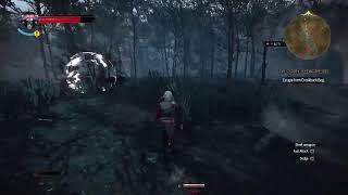 The Witcher 3 Livestream