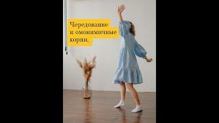 Правописание корней. Чередующиеся корни. Омонимичные корни.