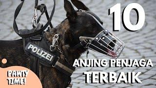 10 ANJING PENJAGA TERBAIK | Anjing Pelindung/ Anjing Penjaga Rumah Terbaik