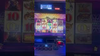 Buffalo Slots 🪙 Bonus Video #buffaloslot #casino #slotmachinebonus