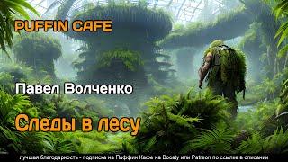 Следы в лесу 2023 Павел Волченко боевая фантастика аудиокнига самиздат рассказ