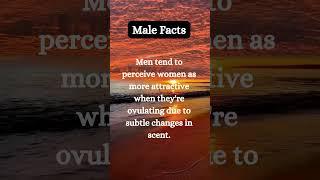 Male Facts