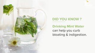 Health Benefits of Mint Water || Bloating & Indigestion Cure|| Apollo Hospitals, Chennai