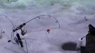 IcefishAmatic Automatic Hook Setter