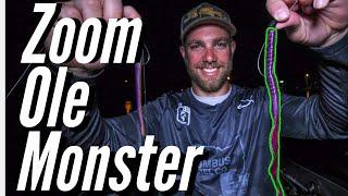 BIG WORMS Catch BIG BASS (Zoom Ole Monster)