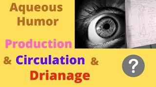 Aqueous Humor - production, circulation and drainage | Glaucoma | open angle glaucoma | closed angle