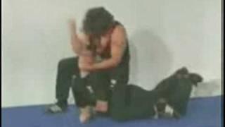 Wing Tsun Demo.flv