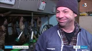 Immersion dans une ferme de montagne en hiver