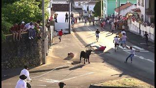 Tourada Rua Longa - Touros EG (221,62,43,45) - 18/7/2024 - Ilha Terceira - Açores