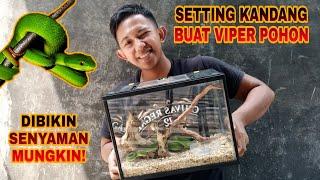 SETTING / SET UP KANDANG VIPER POHON | SEDERHANA DAN BIKIN ULAR NYAMAN.