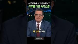 한국인들이 계엄 표결과 투표같은 정치에 적극적인 이유를 알겠다는 외국인들