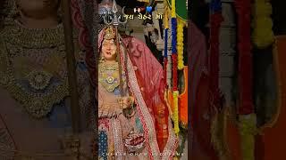 ||  ચેહર માઁ ન્યું સ્ટેટસ  || Chehar Maa New Status ️ || Morning Status Jay Chehar જય ચેહર માં 