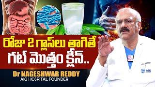 రోజు 2 గ్లాసులు తాగితే మీ గట్ క్లీన్..| Food to Improve Gut Health in Telugu | Dr Nageshwar Reddy